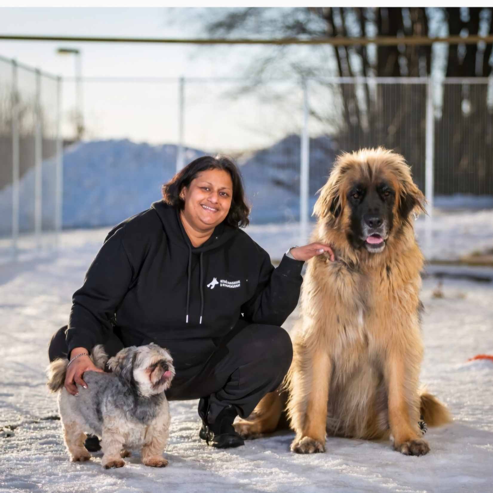 Elin Härnö Hunddagis och hundhotell